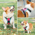 PHOEPET 2019 Upgraded No Pull Dog Harness - Reflective Adjustable Vest with Training Handle & 2 Metal Leash Hooks (M,