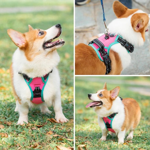 PHOEPET 2019 Upgraded No Pull Dog Harness, Reflective Adjustable Vest with Training Handle and 2 Leash Hooks