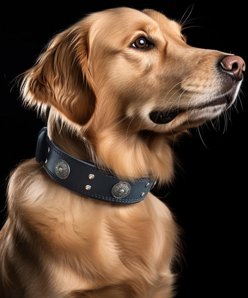 Leather Dog Collar, 2 inches Wide Heavy Duty Genuine Leather, Handmade, Soft, Luxury for Large and Medium Breed Dogs