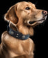 Leather Dog Collar, 2 inches Wide Heavy Duty Genuine Leather, Handmade, Soft, Luxury for Large and Medium Breed Dogs
