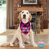 STMK 2 Pack Dog Birthday Bandana, Plaid Triangle Scarf for Birthday Boy Girl Dogs
