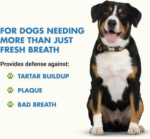 K9 Teeth & Gums Advanced Formula, Chicken Flavor, 32 oz