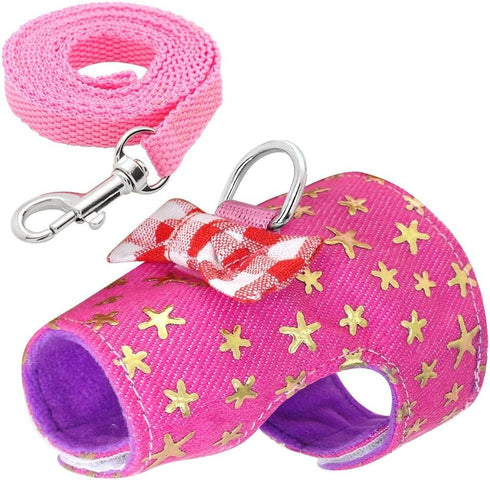 CheeseandU Small Pet Outdoor Walking Harness Vest and Leash Set with Cute Bowknot Decor for Rat Ferret