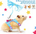 2 Pieces Hamster Harness and Leash Set - Small Guinea Pig Clothes with Bowknot Bell, No Pulling Comfort Padded Vest