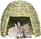 Generic Eco Straw Hut Pet Grass Bed, Guinea Pig House | Organic Nesting
