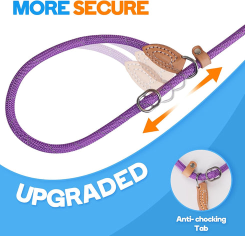 Grand Line Slip Lead Dog Leash, 5FT Reflective Slip Rope, Puppy Training Walking Controlling Lead, Slip Collar Pet Leash for Small, Medium, Large Dogs (Purple, Small-1/4in x 5ft)