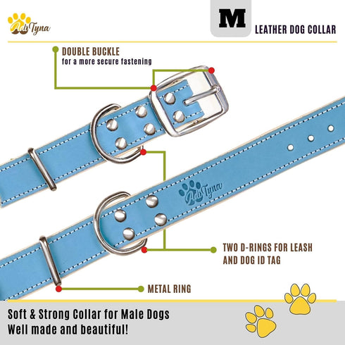 ADITYNA Heavy-Duty Leather Dog Collar - Soft Padded Blue Collar for Medium Dogs, Ideal for Walking and Training