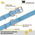 ADITYNA Heavy-Duty Leather Dog Collar - Soft Padded Blue Collar for Medium Dogs, Ideal for Walking and Training