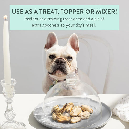 WOOF Freeze Dried Dog Treats, New Zealand Green Mussels, High Protein for Dogs, 1.76 oz