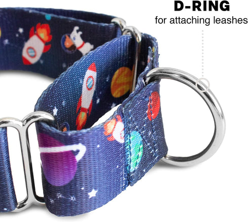 Downtown Pet Supply Martingale Collar for Dogs, Big Wide Thick Dog Training Collar, Escape-Proof, Space, Large