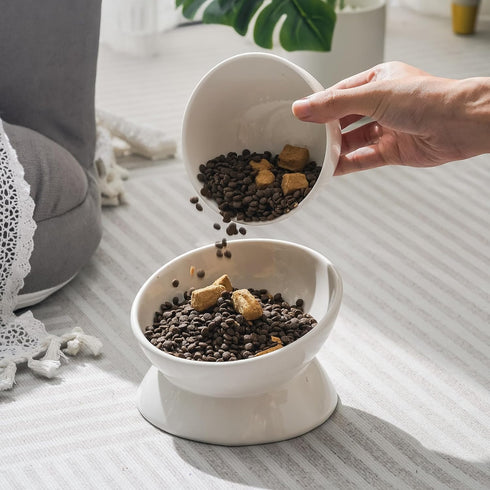 Elevated Tilted Cat Bowl - Ceramic Raised Food Dish for Cats and Small Dogs, 6 Inches, 10 Oz, Anti Vomit, White