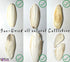 Birds LOVE Natural Cuttlebone – Premium Calcium & Trace Mineral Supplement for Avian Species, Pack of 2, Size 5.5 to 6"
