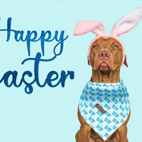 1PC Bobo Dog Bandana, Easter Day Dog Bandanas Blue Bunny Print Bibs Scarf Square Soft Dog Kerchief Pet Bandanas