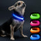 Visinite Light Up Dog Collars for Small Dogs, LED Dog Collar Light Rechargeable, Fully Adjustable Glow in The Dark Dog