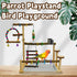 kathson Parrot Play Stand Parakeet Playground Bird Jungle Gym Wood Conure Playstand Hanging Chewing Toys with Swings