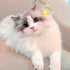 WWW Small Dog Hair Clips, 5 Pcs Cat Dog Hair Bows, Cute Bow Flower Crown Hairpin, Pink, Puppy Party Grooming Accessories