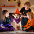 80 Set Silkfly Pieces Halloween Dog Bandanas Bulk for Dogs Bibs Triangle Scarf Dog Kerchief for Small Medium Large Pet