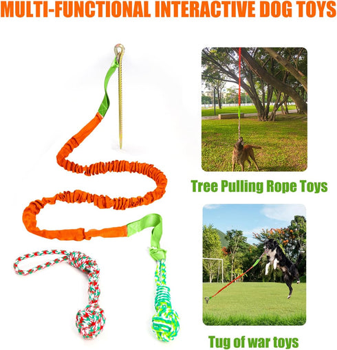 Outdoor Dog Toy with Stake - Interactive Tug of War Ball for Large Breed Aggressive Chewers