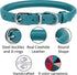 BRONZEDOG Rolled Leather Dog Collar for Small Medium Large Dogs with QR ID Tag (M: 14-16 Inch, Teal)