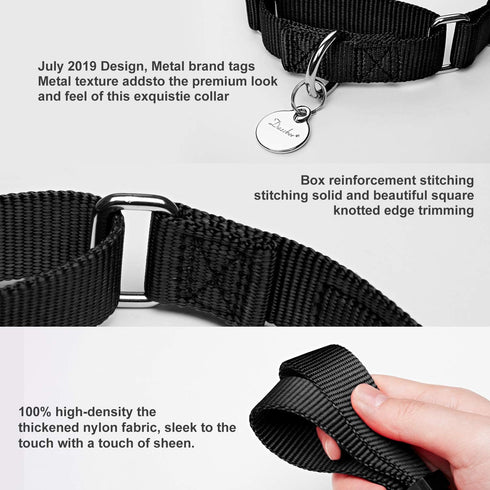 Martingale Collar Nylon Dog Collar - Dazzber Heavy Duty No Pull Pet Collar for Large Dogs, Adjustable 17" to 25"