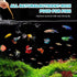 90% 150G Dylan's cabin Brine Shrimp Eggs Fish Food - Hatch Rate for Aquatic Foods Baby Aquarium Fish Freshwater