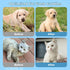 Extra Thick Pet Bathing Wipes for Dogs & Cats - Cleaning & Deodorizing Grooming Gloves, Rinse Free, Unscented, 6 PCS