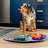 P.L.A.Y. Cute Snuffle Mat for Dogs - Ocean Themed Interactive Food & Treat Mat for Puppies Dogs - Enrichment Toy, Great