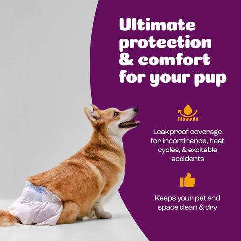 (48 Count)) Inspire Pet Care Dog Diapers Female Dogs | Bulk Value Doggie Incontinence, Accidents, for Heat, Pee