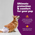 (48 Count)) Inspire Pet Care Dog Diapers Female Dogs | Bulk Value Doggie Incontinence, Accidents, for Heat, Pee
