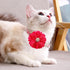 PET SHOW Valentines Flower Charms Slide Collar Accessories for Small Dogs, Medium Large Dogs, Cats, Puppies, Rabbits,