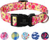 Maca Bates Designer Cute Dog Collar with Rose Flower, Spring Collars for Small, Medium, Large Chihuahua and Pitbull