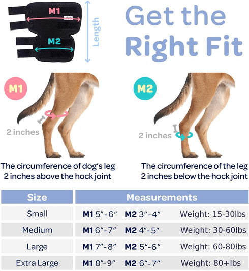 Labra Dog Extra Supportive Compression Wrap for Canine Rear Leg Hock Joint, Recovery, Protection, Ankle Brace