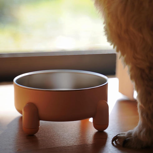 Non-Slip Stainless Steel Pet Bowls for Dogs & Cats | Easy to Clean, No Spill | Durable & Removable | Nordic Colors |