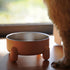 Non-Slip Stainless Steel Pet Bowls for Dogs & Cats | Easy to Clean, No Spill | Durable & Removable | Nordic Colors |