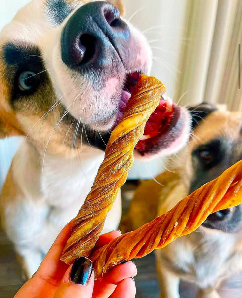 hotspot pets Tripe Twists for Dogs - (10 Pack) Premium All Natural Beef Sticks, Crunchy Dog Chew Treats - Rawhide Free