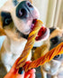 hotspot pets Tripe Twists for Dogs - (10 Pack) Premium All Natural Beef Sticks, Crunchy Dog Chew Treats - Rawhide Free