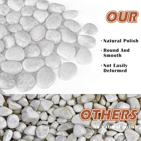 White River Rocks for Plants, 5.5 LB Small Decorative Pebbles, Smooth Aquarium Gravel for Indoor and Outdoor