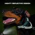 Joytale Martingale Collar for Dogs - Reflective Heavy Duty with Quick Release Buckle, Adjustable Nylon for Medium Dogs