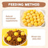 Freeze Dried Cat and Dog Treats - Limited Ingredient Quail Egg Yolk Healthy Snacks, 8.8 Ounce