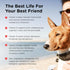 Nutri-Vet Adult-Vite Plus Soft Chews for Dogs, 70 Count, 6 Ounces, Supports Everyday Health