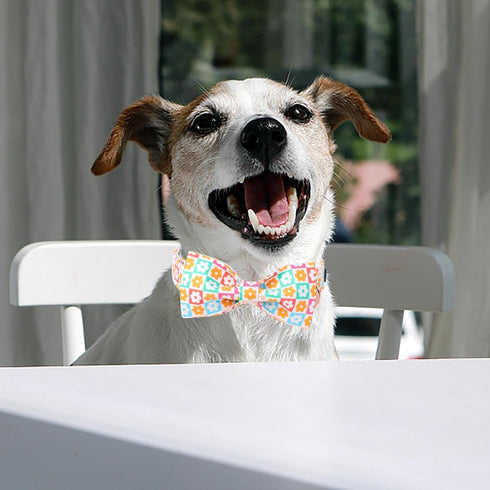 Dog Collar for Spring and Summer, Adjustable Cotton Collar with Bow and Safety Metal Buckle for Small, Medium, Large