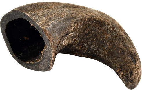 QT Dog Buffalo Hornz Water Buffalo Horn Dog Treat