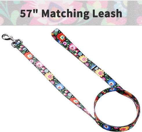 Ihoming Dog Collar and Leash Set for Daily Outdoor Walking, Black Colorful Flowers Design for Small Boys Girls Dogs