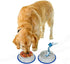 Set of 2 Etched Stainless Steel Dog Bowls, 32oz Each with Non-Skid No-Tip Silicone Ring, Easy to Clean