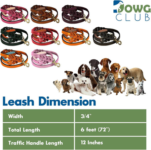 6' Genuine Leather Dog Leash, Heavy Duty, Handmade, Braided, Dual Handle Design with D Ring, Padded & Traffic Handle