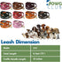 6' Genuine Leather Dog Leash, Heavy Duty, Handmade, Braided, Dual Handle Design with D Ring, Padded & Traffic Handle