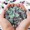 Polished Fluorite Gravel Rocks Bulk, 0.9 Lb/405g Natural Tumbled Crystal Chips for Fish Turtle Tank Decor