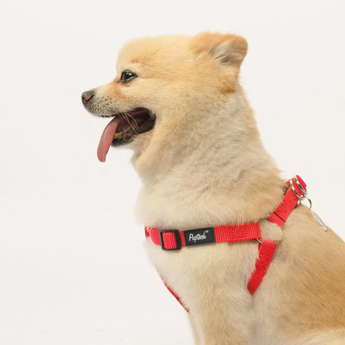 PUPTECK No Pull Dog Harness, Soft Adjustable Nylon Step-in Puppy Vest for Outdoor Walking, X-Small Red