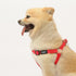 PUPTECK No Pull Dog Harness, Soft Adjustable Nylon Step-in Puppy Vest for Outdoor Walking, X-Small Red