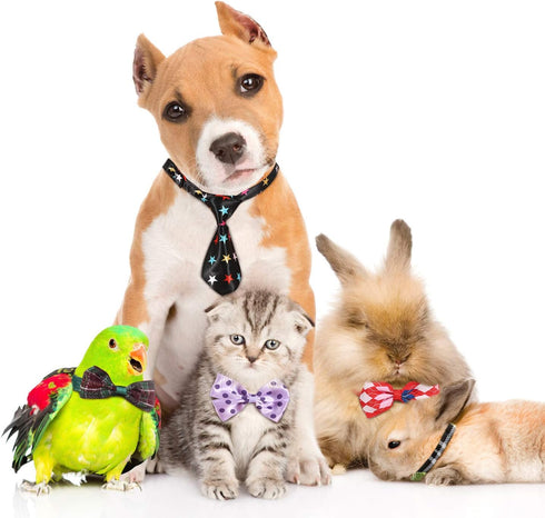 Frienda 20 Pieces Assorted Dog Ties, Small Pet Bow Ties with Adjustable Collar for Grooming Accessories